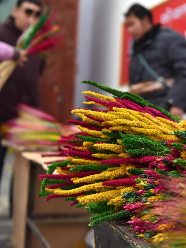 Colorful wheat decorations seen on Jan. 22, 2019.  (Photo/Xinhua)