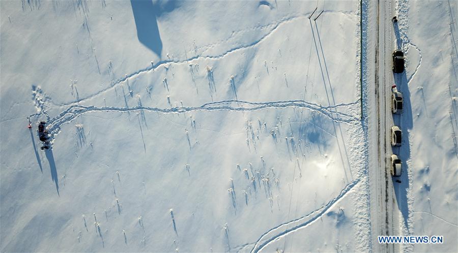 Aerial photo taken on Jan. 18, 2019 shows researchers collecting data of snow cover in Zhaosu County, northwest China\'s Xinjiang Uygur Autonomous Region. A nine-member research team with an average age under 30 from the Xinjiang Institute of Ecology and Geography under the Chinese Academy of Sciences started a research on snow cover on the Tianshan Mountains in Xinjiang. Snow cover on the Tianshan Mountains is an important source of water resources. Snowmelt provides an abundant water supply for river flow in this area and also affects the ecological system of agricultural and animal husbandry production in the downstream oasis. (Xinhua/Hu Huhu)