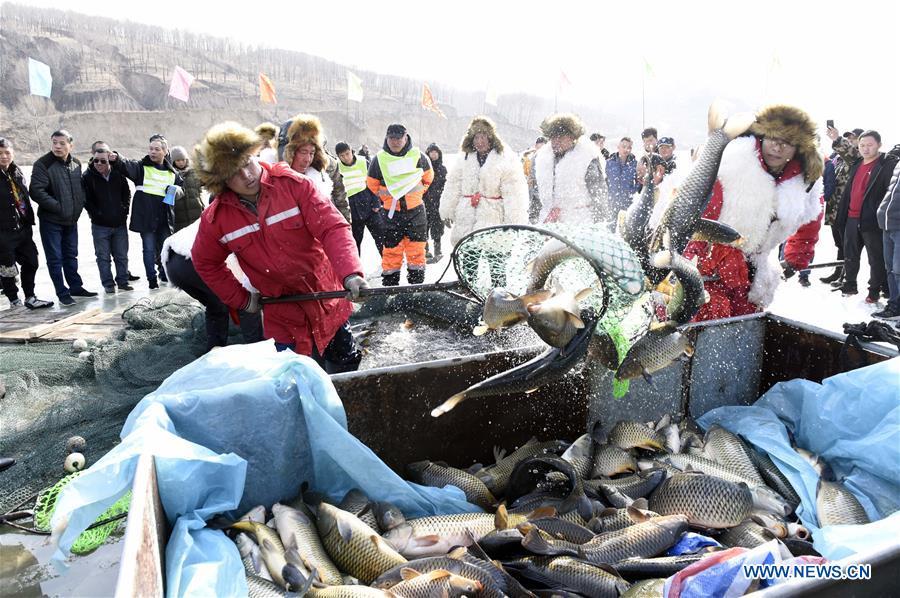 Inheritors of Chagan Lake winter fishing heritage pull the fishing net in Qianyaozi Reservoir in Hohhot, capital of north China\'s Inner Mongolia Autonomous Region, Jan. 26, 2019. A two-day winter fishing tourism festival opened here on Saturday, during which 18 inheritors of Chagan Lake winter fishing showed visitors traditional ways of fishing. Winter fishing on ice-covered Chagan Lake dates back to the Liao and Jin dynasties from 10th century to the 13th century in China and was listed into the national intangible cultural heritage in 2008. (Xinhua/Wang Zheng)