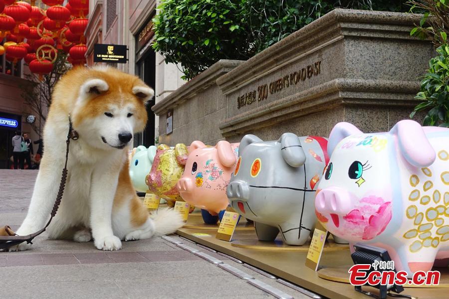 A piglet-themed art installment to promote the importance of saving money has been organized by the Hong Kong Deposit Protection Board and appears in an exhibition on Lee Tung Street in Hong Kong, Jan. 27, 2019. Hong Kong students and local artists designed 66 piglets for the exhibition. 2019 is the Year of the Pig. (Photo: China News Service/Zhang Wei)