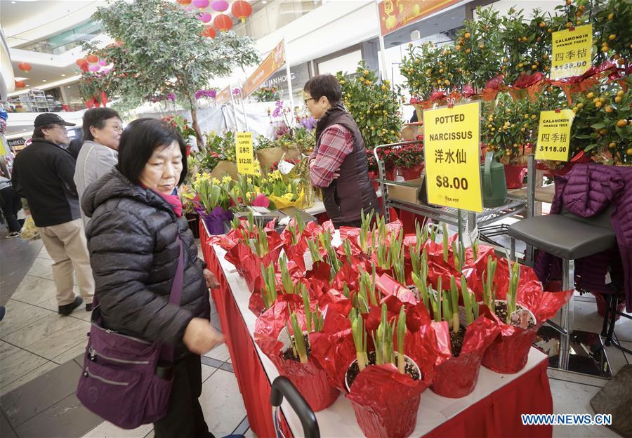 <?php echo strip_tags(addslashes(A resident selects plants at the 30th Chinese Lunar New Year Flower & Gift Fair in Richmond, Canada, Jan. 30, 2019. The seven-day Chinese Lunar New Year Flower & Gift Fair, west Canada's largest indoor Lunar New Year festivity, was opened on Tuesday. (Xinhua /Liang Sen))) ?>