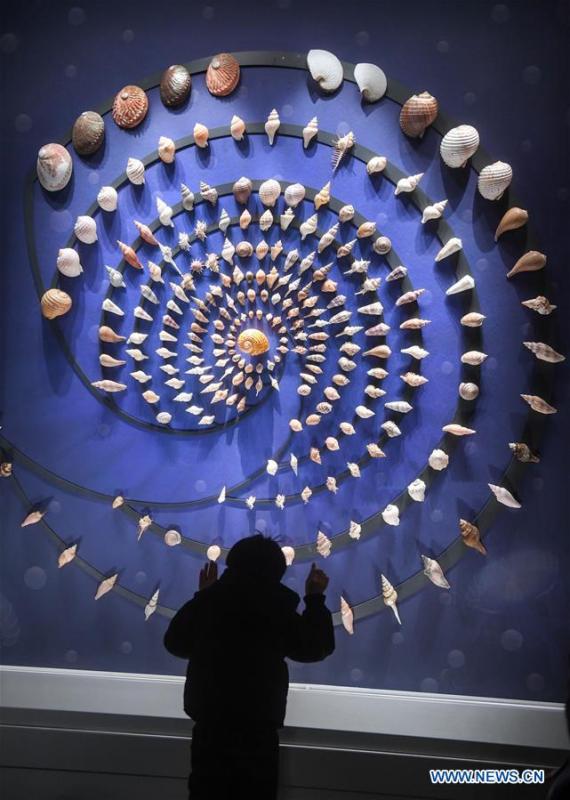 A visitor looks at exhibits at the Anji Branch of Zhejiang Museum of Natural History in Anji County, east China\'s Zhejiang Province, Jan. 31, 2019. The museum attracts lots of visitors during the winter vacation. (Xinhua/Xu Yu)