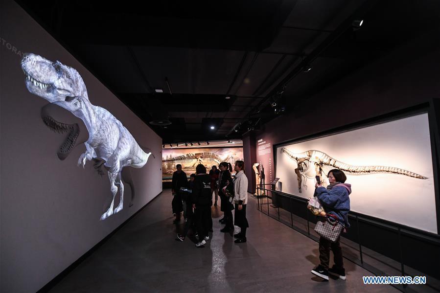 People visit the Anji Branch of Zhejiang Museum of Natural History in Anji County, east China\'s Zhejiang Province, Jan. 31, 2019. The museum attracts lots of visitors during the winter vacation. (Xinhua/Xu Yu)