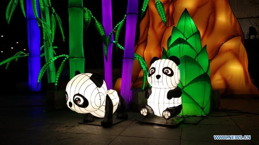 Giant panda-shaped lanterns are seen at the Chinese Lantern Festival in Tirana, capital of Albania, on Feb. 1, 2019. Albania joined the celebration of the Chinese New Year, with a ceremony marking the opening of \