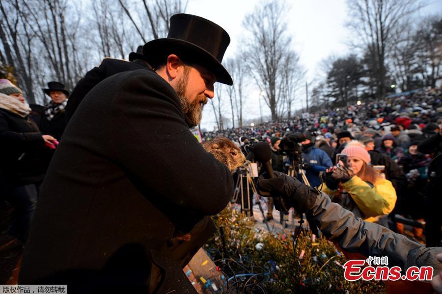 Punxsutawney Phil\'s co-handler AJ Dereume introduces the groundhog to reporters on the 133rd Groundhog Day in Punxsutawney, Pennsylvania, U.S., February 2, 2019. Around 7:30 a.m. on Saturday, Punxsutawney Phil emerged from his slumber and didn’t see his shadow, meaning an early spring is apparently on the horizon. According to the Punxsutawney Groundhog Club, the iconic creature’s predictions are only 39 percent accurate.(Photo/Agencies)