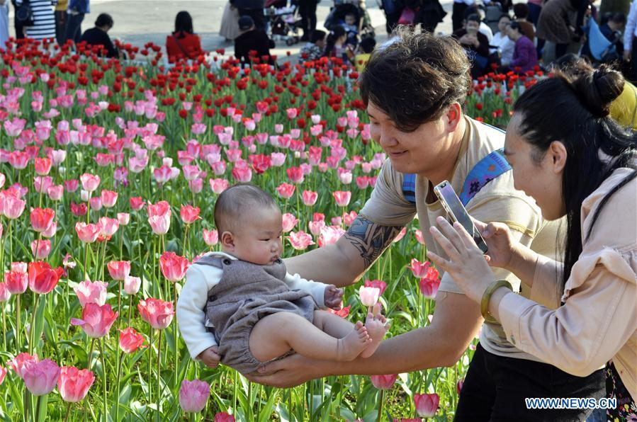 <?php echo strip_tags(addslashes(A citizen holds a baby for photos with tulip flowers during Spring Festival holiday at Liuzhou Expo Garden in Liuzhou City, south China's Guangxi Zhuang Autonomous Region, Feb. 7, 2019. (Xinhua/Li Bin))) ?>