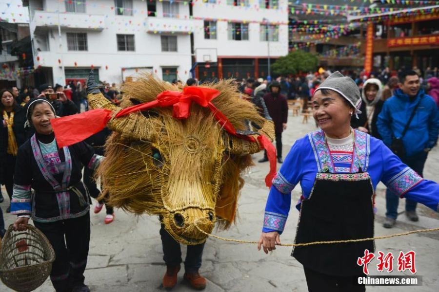 People of the Dong ethnic group celebrate the Spring Festival in a cultural show in Guangnan Village, Guilin City, South China\'s Guangxi Zhuang Autonomous Region, Feb. 10, 2019. Local people donned traditional costumes to organize dragon and lion dances, group banquets, singing performances and a cattle parade to entertain tourists. (Photo: China News Service/Pan Zhixiang)