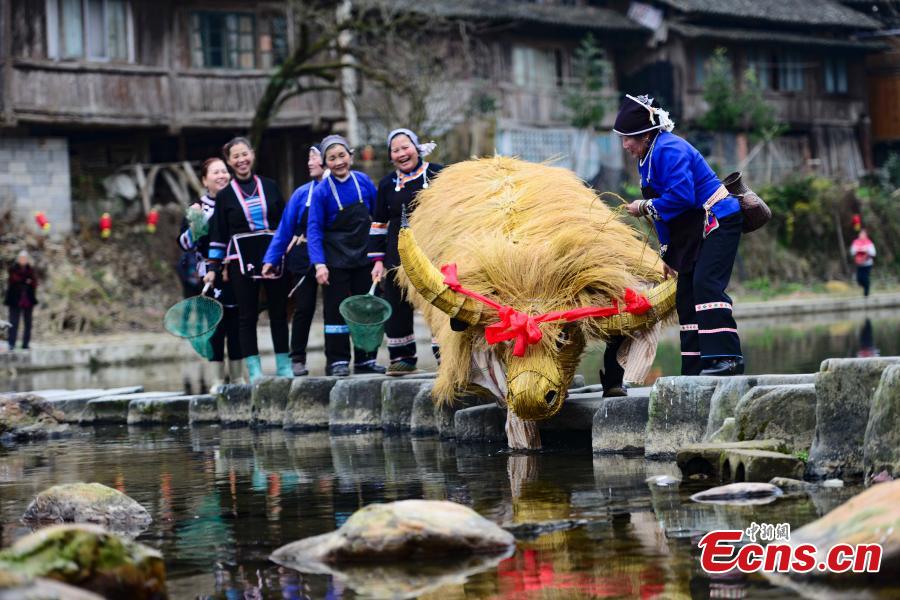 People of the Dong ethnic group celebrate the Spring Festival in a cultural show in Guangnan Village, Guilin City, South China\'s Guangxi Zhuang Autonomous Region, Feb. 10, 2019. Local people donned traditional costumes to organize dragon and lion dances, group banquets, singing performances and a cattle parade to entertain tourists. (Photo: China News Service/Pan Zhixiang)