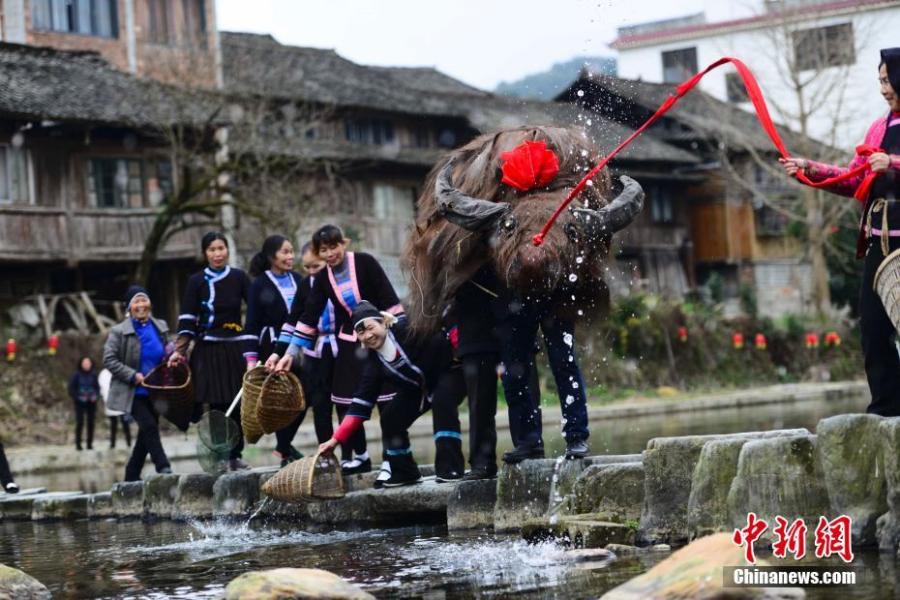 People of the Dong ethnic group celebrate the Spring Festival in a cultural show in Guangnan Village, Guilin City, South China\'s Guangxi Zhuang Autonomous Region, Feb. 10, 2019. Local people donned traditional costumes to organize dragon and lion dances, group banquets, singing performances and a cattle parade to entertain tourists. (Photo: China News Service/Pan Zhixiang)