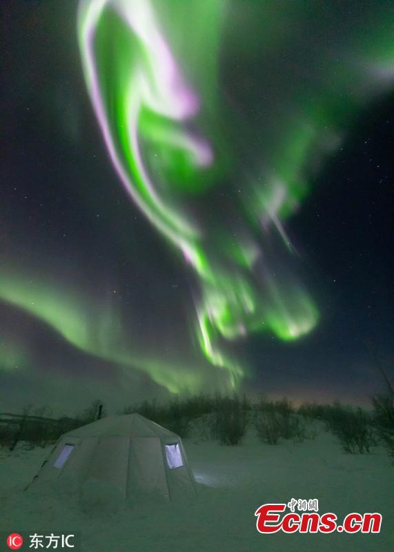 A photo taken in Abisko, Sweden shows the stunning northern lights look like a phoenix in the sky. (Photo/IC)