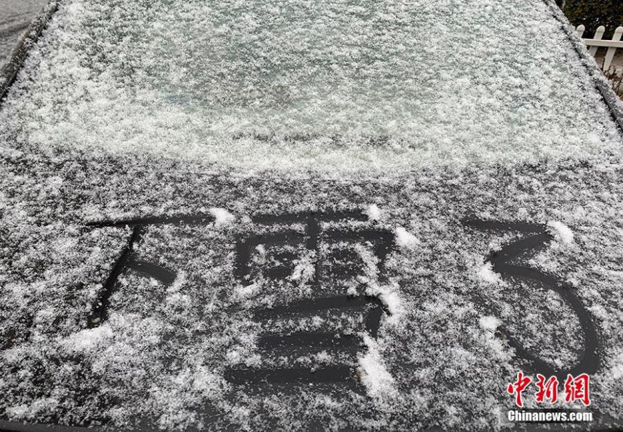 Photo taken on Feb. 12, 2019 shows a snow view in Beijing, capital of China. A snowfall hit Beijing on Tuesday.  (Photo/China News Service)