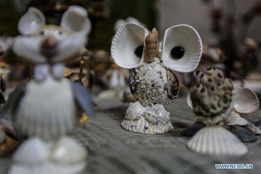 Photo shows art pieces made by Palestinian young man Ahmed al-Madhoun with seashells at his house in Gaza City, on Feb. 10, 2019. A Palestinian young man from Gaza turns seashells into beautiful artifacts that adorn his home to satisfy his passion for this type of art. Using seashells he collects from Gaza beaches, 31-year-old Ahmed al-Madhoun makes various art pieces such as animals, birds and some funny characters. Al-Madhoun, who holds a college degree in radio and television engineering and works for a local telecommunication company, has been collecting multiple forms of seashells from the Gaza seashore for more than four years. The young man began the hobby of seashell art about a year and a half ago, and he already made large numbers of art pieces. (Xinhua/Stringer)