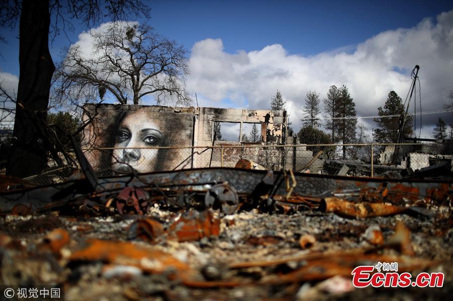 <?php echo strip_tags(addslashes(Shane Grammer, the former graffiti artist, recently spent a week in Paradise, the town devastated by last year's Camp Fire, deadliest fire in California history, painting murals on the remnants of abandoned houses and burned-out cars. (Photo/VCG))) ?>