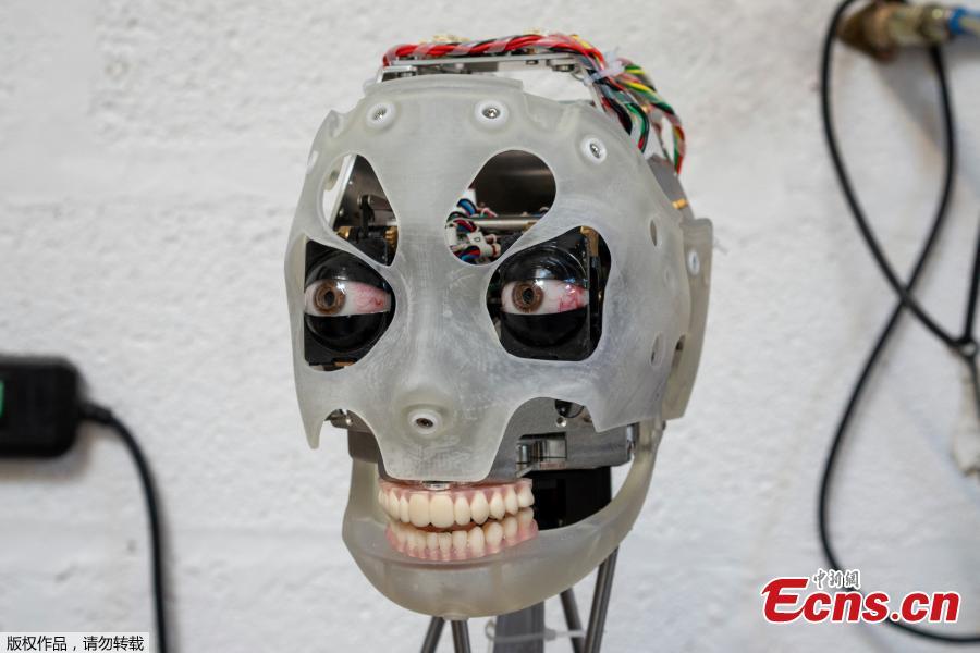 <?php echo strip_tags(addslashes(The head of Ai-da, a humanoid robot capable of drawing people from life using her bionic eyes and hand, is seen at the offices of robotics company Engineered Arts, in Falmouth, Cornwall, Britain, Feb. 7, 2019. (Photo/Agencies))) ?>