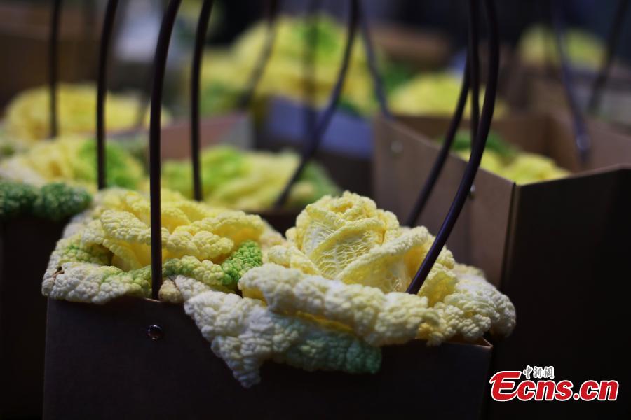 <?php echo strip_tags(addslashes(Photo shows the rose-like Chinese cabbage, developed by Professor Hou Xilin, at the College of Horticulture, Nanjing Agricultural University, Feb. 13, 2019. Students have launched a start-up to market the Chinese cabbage, which is smaller in size, rose-shaped and better tasting, both online and offline. (Photo: China News Service/Yang Bo))) ?>