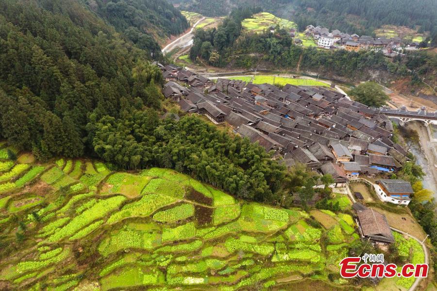 An aerial photo of the picturesque Wugong Dong Village in Rongjiang County, Guizhou Province, Feb. 13, 2019. The village, home to 171 Dong families, has well-preserved old wooden buildings that are now surrounded by cauliflowers in bloom. The village was inscribed as a national traditional village in 2016. (Photo: China News Service/He Junyi)
