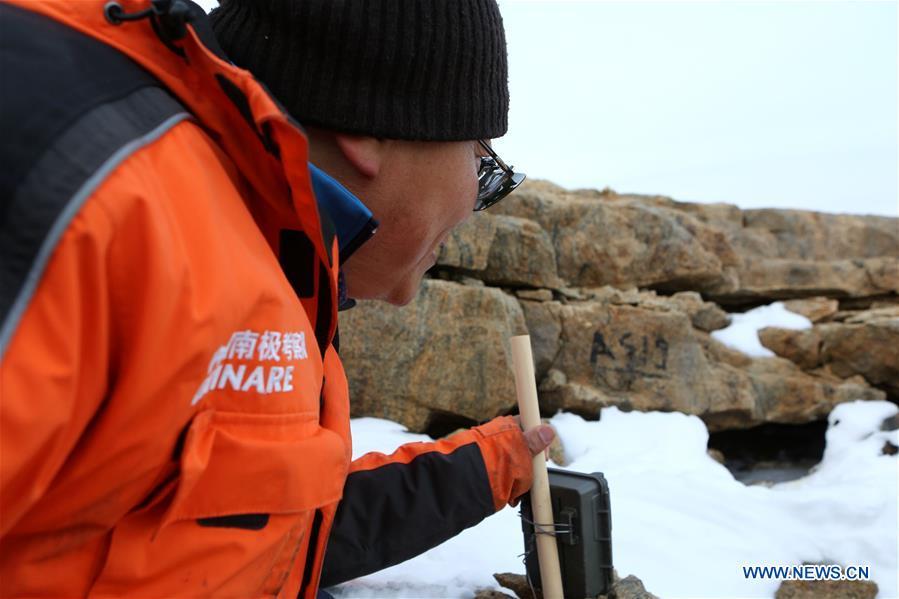 <?php echo strip_tags(addslashes(Zhang Zhengwang, a professor from Beijing Normal University and a member on China's 35th research mission in Antarctica, monitors on snow petrels near the Zhongshan Station, a Chinese research base in Antarctica, on Feb. 11, 2019. Chinese researchers have begun using infrared cameras to monitor Antarctica's snow petrel, a key indicator species of the local marine ecosystem. This is the first time Chinese researchers in Antarctica have used infrared cameras in bird monitoring. (Xinhua/Liu Shiping))) ?>