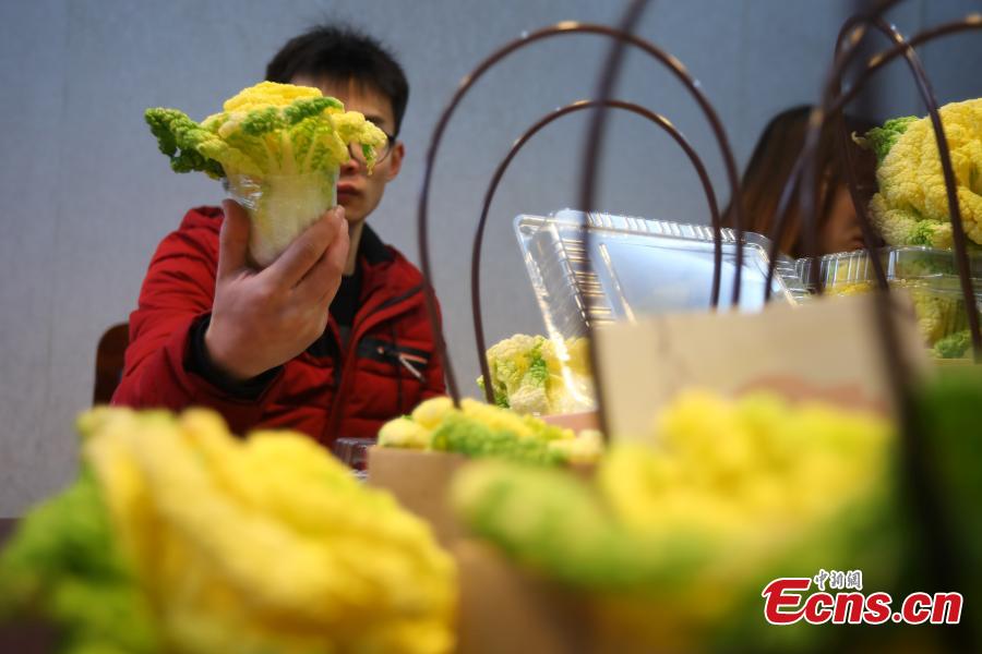 <?php echo strip_tags(addslashes(Students package a new breed of Chinese cabbage, developed by Professor Hou Xilin, at the College of Horticulture, Nanjing Agricultural University, Feb. 13, 2019. Students have launched a start-up to market the Chinese cabbage, which is smaller in size, rose-shaped and better tasting, both online and offline. (Photo: China News Service/Yang Bo))) ?>