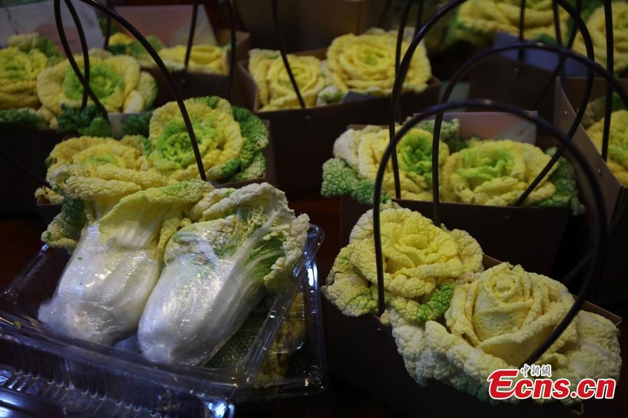 <?php echo strip_tags(addslashes(Photo shows the rose-like Chinese cabbage, developed by Professor Hou Xilin, at the College of Horticulture, Nanjing Agricultural University, Feb. 13, 2019. Students have launched a start-up to market the Chinese cabbage, which is smaller in size, rose-shaped and better tasting, both online and offline. (Photo: China News Service/Yang Bo))) ?>