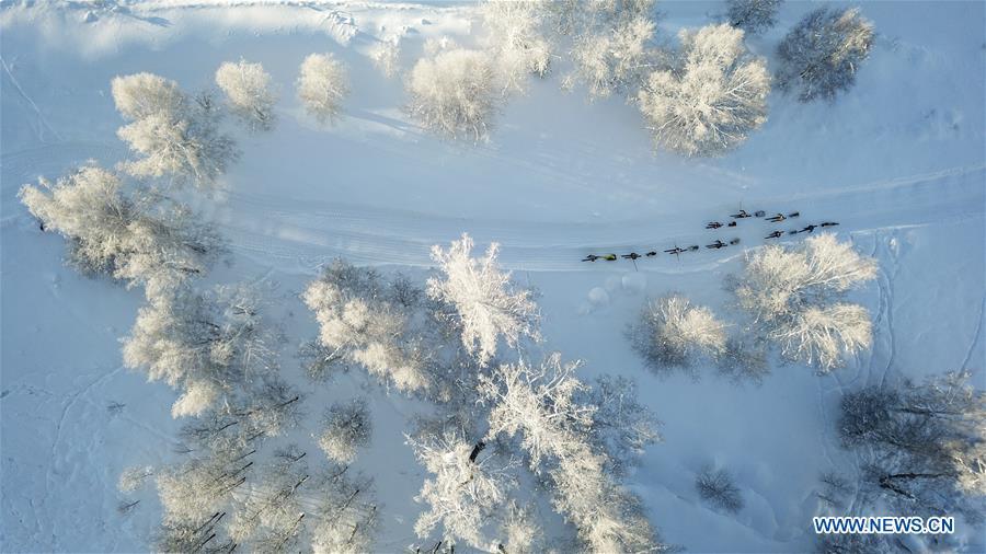 Aerial photo taken on Jan. 7, 2019 shows herdsmen skiing on a snowfield in Altay, northwest China\'s Xinjiang Uygur Autonomous Region. (Xinhua/Hu Huhu)