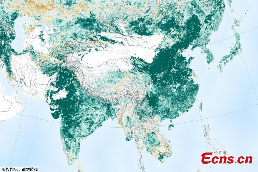 <?php echo strip_tags(addslashes(Satellite data show that China and India have led the global increase in leafy coverage in recent years. (Photo/Agencies)

<p>The planet's two most populous nations are leading the increase in greenery in large part due to China's ambitious programs in tree planting and more efficient agriculture practices, said a study by NASA, published on Feb. 12, 2019 in the journal Nature Sustainability.)) ?>