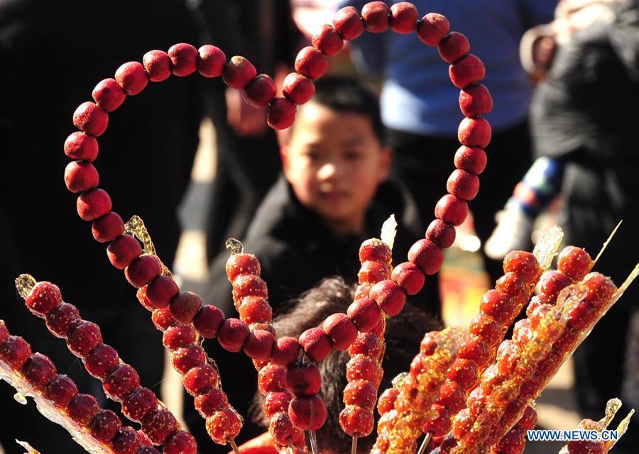 A child looks at tanghulu, a traditional Chinese snack of candied fruit, during an activity to greet the upcoming Lantern Festival in Lihua Village of Renqiu, north China\'s Hebei Province, Feb. 17, 2019. The traditional Chinese Lantern Festival falls on Feb. 19 this year. (Xinhua/Mu Yu)