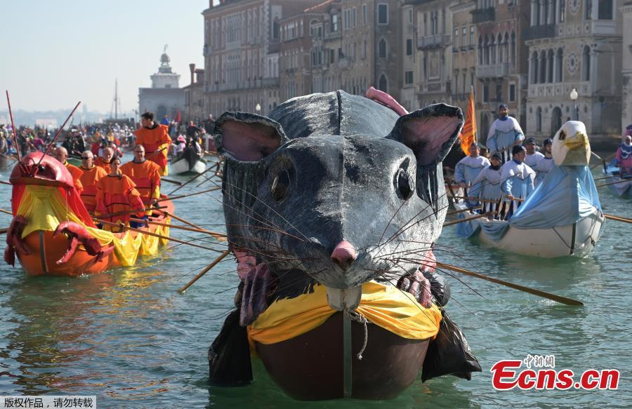 Venetians row during the masquerade parade on the Grand Canal during the Carnival in Venice, Italy, Feb. 17, 2019. Spectators lined the canal as elaborately decorated boats, accompanied by music, made their way down the waterway. (Photo/Agencies)