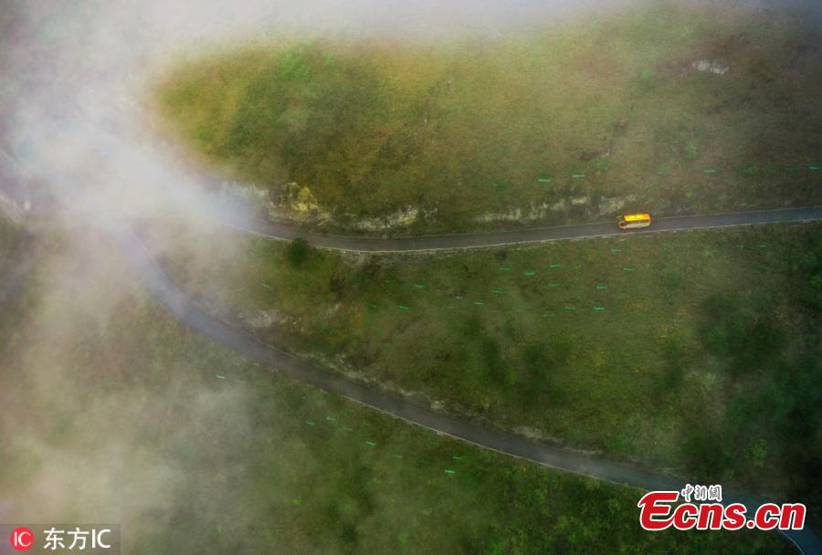 An aerial photo shows bends on a road in the Qibainong National Geological Park, located in Dahua Yao Autonomous County in South China\'s Guangxi Zhuang Autonomous Region, Feb. 20, 2019. The park features a unique karst landscape with mountain ranges, low-lying lands, valleys, caves, underground rivers, and an abundance of fossils. (Photo/IC)
