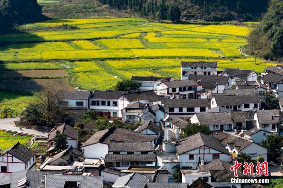 <?php echo strip_tags(addslashes(Rapeseed flowers in full bloom at Wanfenglin scenic spot in Xingyi City, Southwest China’s Guizhou Province, Feb. 21, 2019. With rapeseed fields spanning 667 hectares, the scenic spot is a huge attraction to tourists who like the yellow flowers. (Photo: China News Service/He Junyi))) ?>