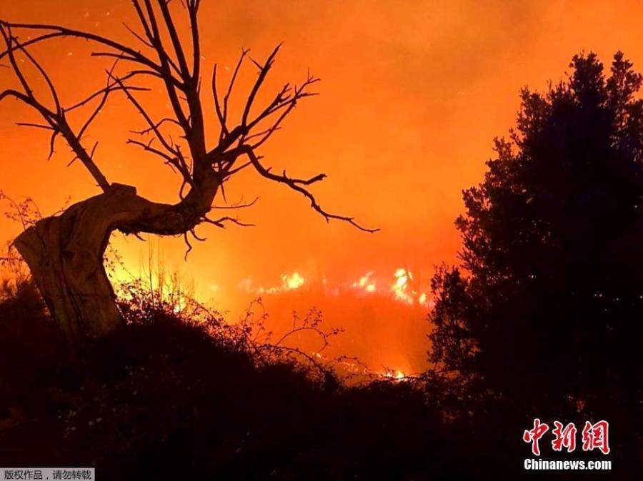 <?php echo strip_tags(addslashes(A wildfire burns in a forest on the Mediterranean island of Corsica, Feb. 25, 2019. French firefighters are trying to contain the fire, which has already scorched a large. area on the island. (Photo/Agencies))) ?>