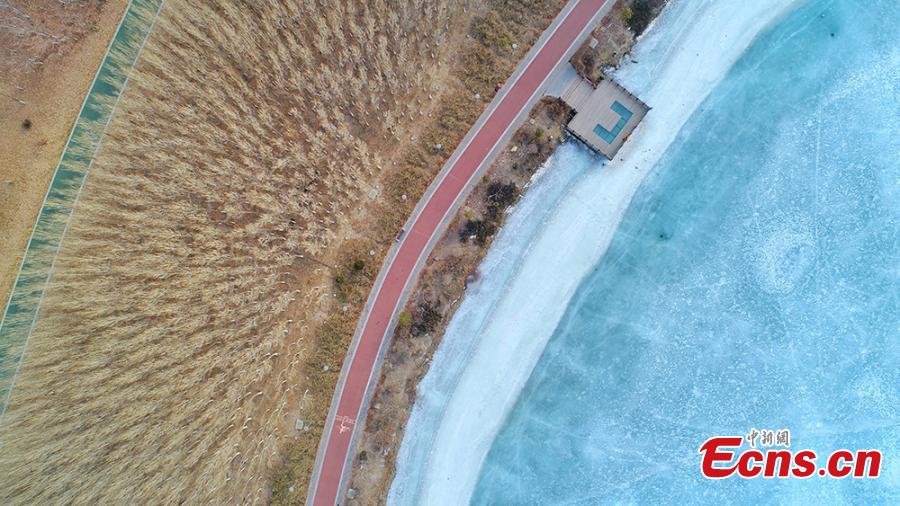 A view of the Zhangye National Wetland Park in Zhangye City, Northwest China\'s Gansu Province as it is partially frozen in the latest cold front. (Photo: China News Service/Wang Chao)