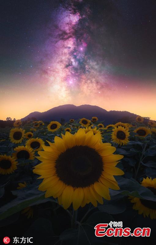 Landscape photographer Daniel Greenwood of Vancouver, Canada is known for making creative pictures that connect many natural elements together. (Photo/IC)