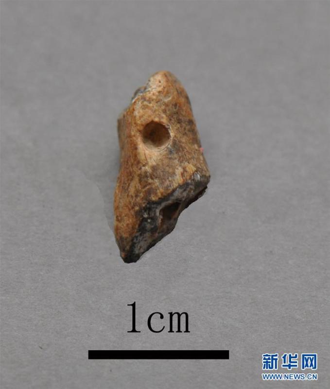 <?php echo strip_tags(addslashes(A bone device excavated at the Longquan Cave, an early Upper Paleolithic site in Central China's Henan Province. Archeologists have found remains of ash and fire pits in the cave, evidence of the use of fires some 40,000 years ago. The discovery was selected as a top archaeological finding in 2018 in the province. (Photo/Xinhua))) ?>