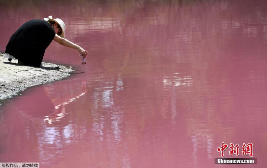 <?php echo strip_tags(addslashes(The salt lake of the Westgate Park in Melbourne, Australia, has attracted many visitors after it turned a vivid pink, March 4, 2019.  (Photo/Agencies))) ?>