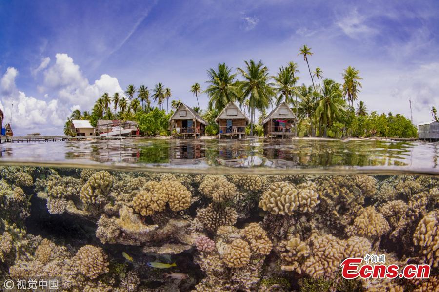 Up&Coming category winner: \