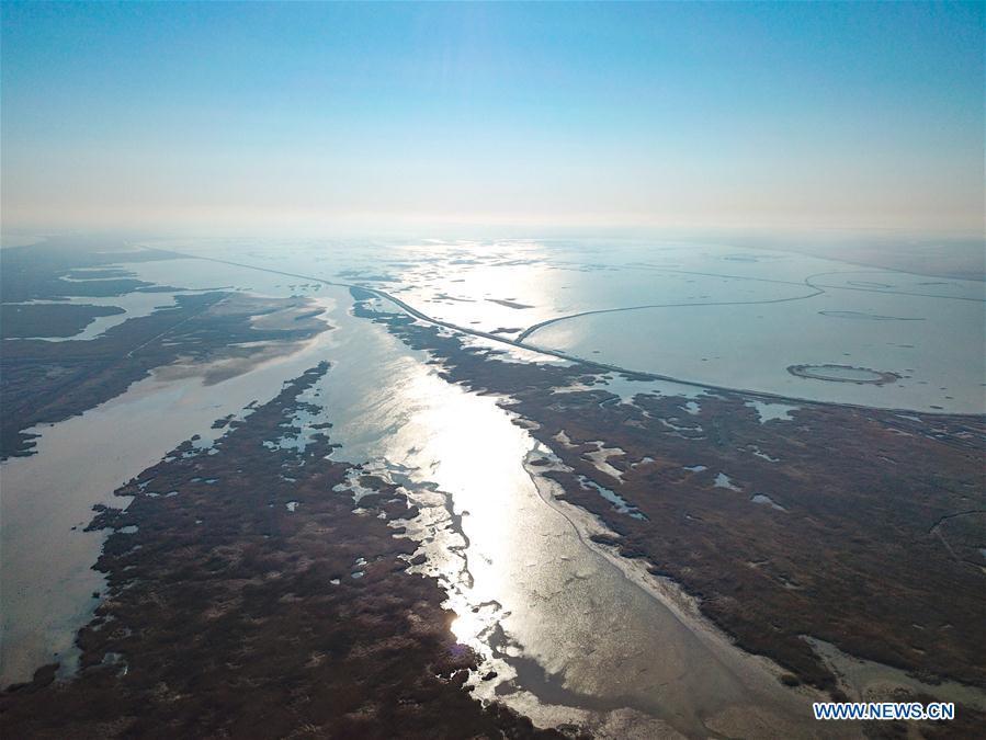 Aerial photo taken on March 7, 2019 shows the view of the Yellow River Delta national natural reserve in Dongying, east China\'s Shandong Province. The Yellow River Delta national natural reserve lies in Dongying City, from where the Yellow River empties itself into the Bohai Sea. In recent years, the natural reserve has been making efforts to protect ecological diversity and restore wetland in order to promote a harmonious coexistence between man and nature. (Xinhua/Wang Nan)
