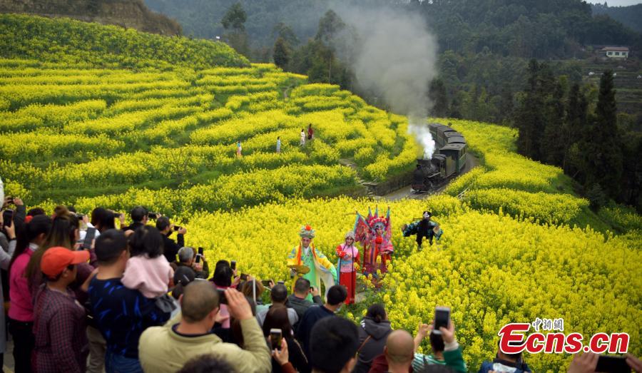 Tourists watch the Jiayang steam train as it passes through bright yellow rapeseed fields in Jianwei County, Southwest China’s Sichuan Province, March 12, 2019. The Jiayang steam train, which has been running for half a century and still operates on old narrow-gauge tracks, is a major contributor to the local tourism industry. (Photo: China News Service/Liu Zhongjun)