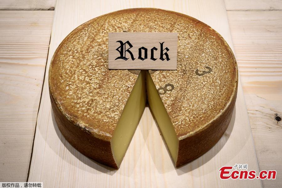 This picture taken on March 14, 2019 shows a round of cheese that has been matured for 6 month with hip hop music, on the final day of an experiment conducted by the University of the Arts in Berthoud, in the Emmental region, central Switzerland. Beat Wampfler, a Swiss veterinarian by day, but consumate apron-wearing cheese enthusiast at night, has embarked on an experiment to test the impact of music on Emmental. Since last September, the cheeses have each been blasted with sonic masterpieces from the likes of rock gods Led Zeppelin or hip-hop legends A Tribe Called Quest to techno beats, ambient choirs and Mozart\'s classic Magic Flute. A jury of expert tasted the cheeses on March 14, 2019 and the tasty winner the cheese matured with the hip-hop album. (Photo/Agencies)