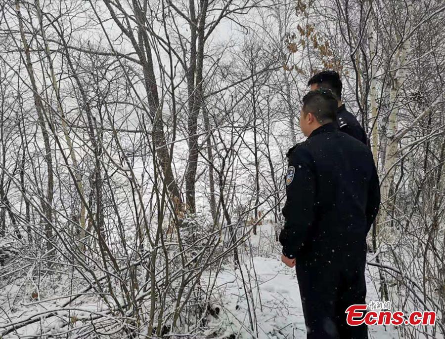 Police officers investigate a suspected Siberian tiger attack on a dog in a mountain village close to the Russian border in Hegang City, Northwest China’s Heilongjiang Province. Local police are urging villagers to be alert to possible tiger attacks. (Photo provided to China News Service)