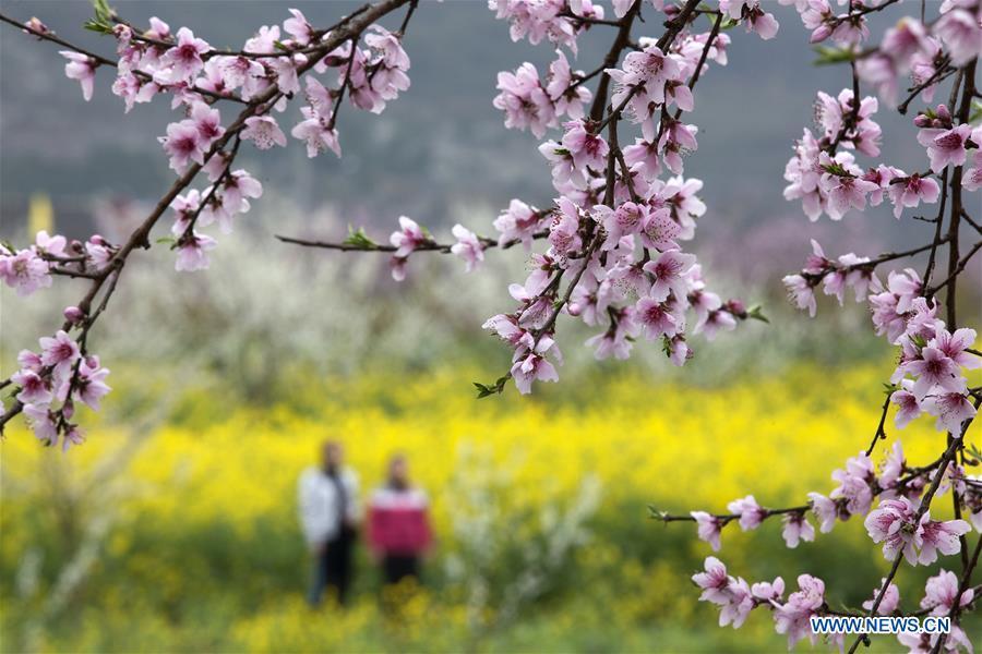 Visitors enjoy the scenery of early spring in Qiulin Village of Daguan Town in Bijie City, southwest China\'s Guizhou Province, March 15, 2019. (Xinhua/Shi Kaixin)