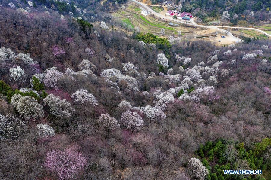 Photo taken on March 14, 2019 shows the scenery of Tiechong Township of Jinzhai County in Lu\'an City, east China\'s Anhui Province. (Xinhua/Wang Wen)