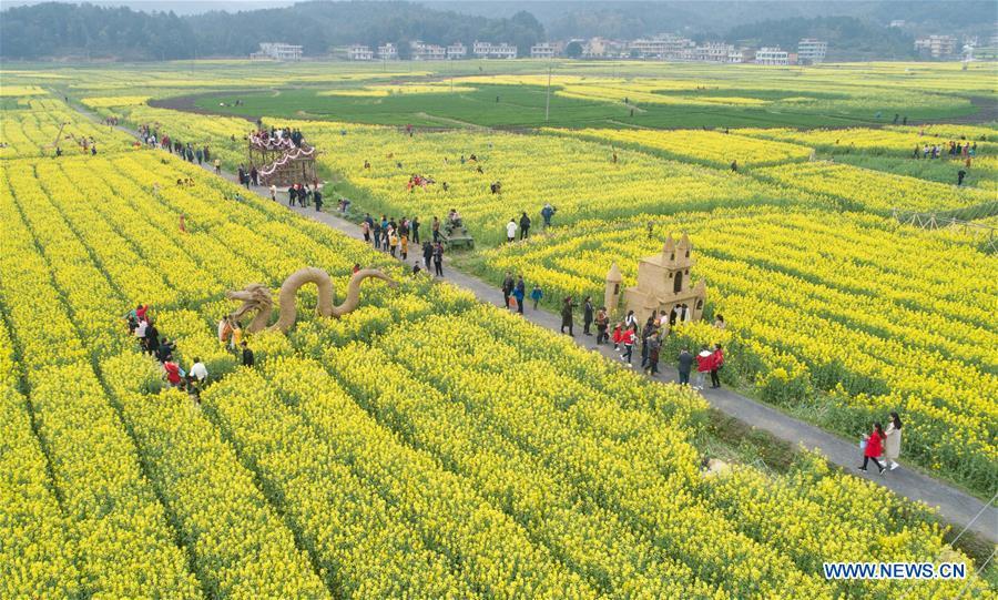 Visitors tour among cole flower fields in Huashan Village of Hengyang County, central China\'s Hunan Province, March 15, 2019. (Xinhua/Liu Xinrong)