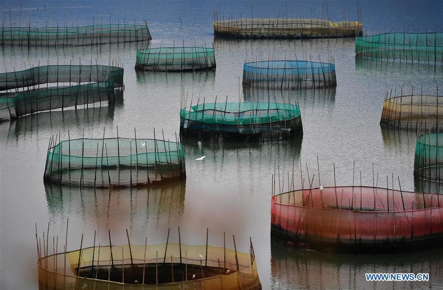 Photo taken on March 16, 2019 shows the view of an fishery area at Nanwan Village in Xiapu County, southeast China\'s Fujian Province. (Xinhua/Wei Peiquan)