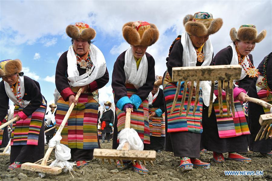 People attend a ceremony marking the start of spring plowing in Nedong District of Shannan City, southwest China\'s Tibet Autonomous Region, March 16, 2019. (Xinhua/Jigme Dorje)