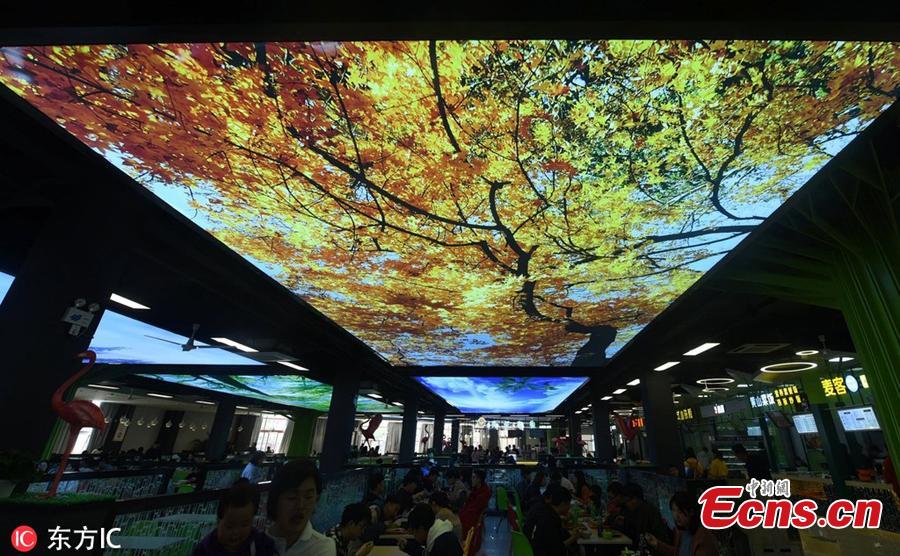 Beautiful natural scenes are projected onto large screens hung on the roof of a dining hall at Zhejiang Agriculture & Forestry University in Hangzhou City, East China’s Zhejiang Province, March 17, 2019. (Photo/IC)
