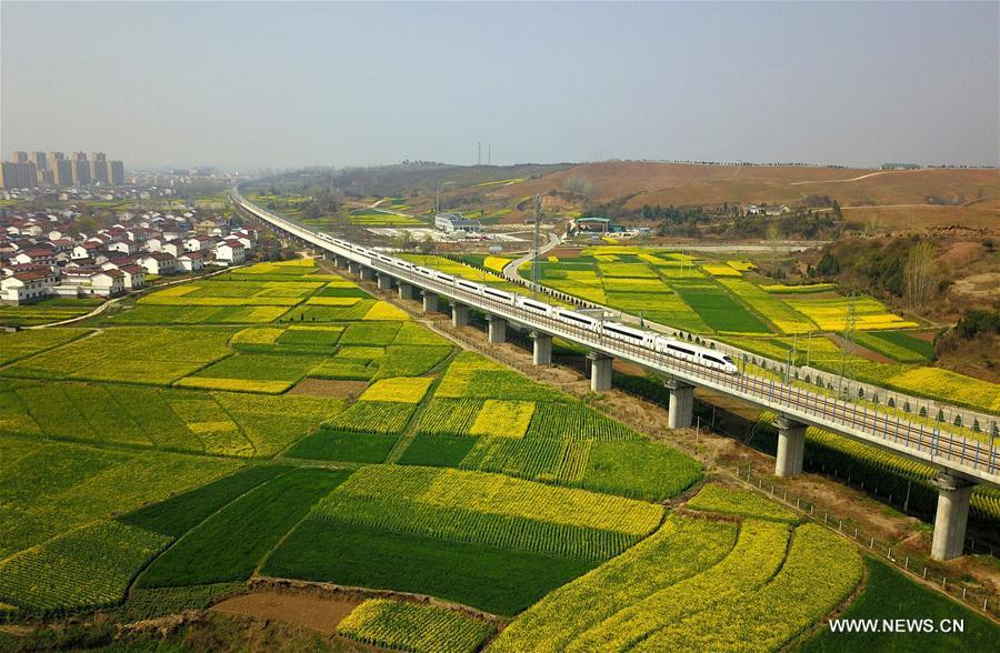 <?php echo strip_tags(addslashes(Aerial photo taken on March 20, 2019 shows a bullet train running through cole flower fields in Hanzhong, northwest China's Shannxi Province. (Xinhua/Tang Zhenjiang))) ?>