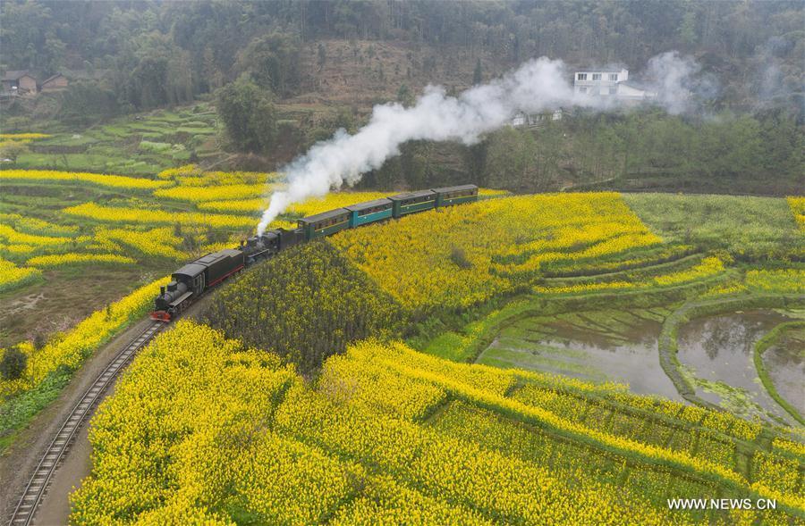 <?php echo strip_tags(addslashes(A Jiayang steam train runs on a narrow gauge railway in cole flower fields in Qianwei County, southwest China's Sichuan Province, March 20, 2019. The old-fashioned steam train, running on a narrow gauge railway in Qianwei County, serves mainly in sightseeing, but as increasing number of tourists visit the county in recent years, the train itself has become an attraction providing a journey of reminiscence. (Xinhua/Jiang Hongjing))) ?>