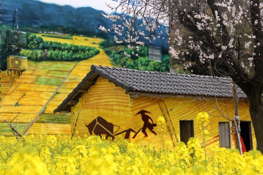 <?php echo strip_tags(addslashes(Spring brings beautiful scenery to Puxihe village in Yichang city, Hubei province, March 15, 2019. As the weather becomes warmer, golden cole flowers are blossoming in the region. Meanwhile, local residences are painted with images of animals and agricultural activities, adding liveliness to the landscape. (Photo/Asianewsphoto))) ?>