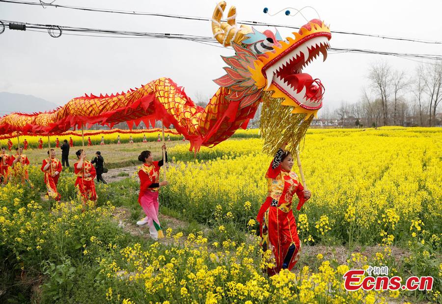 <?php echo strip_tags(addslashes(A dragon dancing team performes in a cole flower field in Hanzhong City, northwest China's Shaanxi Province, March 22, 2019. Cole flowers are in full bloom in Hanzhong recently. (Photo: China News Service/Liu Guanguan))) ?>