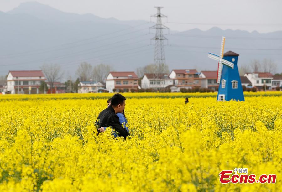 <?php echo strip_tags(addslashes(People play in a cole flower field in Hanzhong City, northwest China's Shaanxi Province, March 22, 2019. Cole flowers are in full bloom in Hanzhong recently. (Photo: China News Service/Liu Guanguan))) ?>